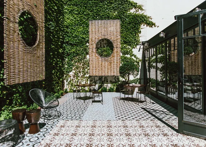 Praktik VinotecaAlbergo